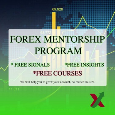 Professional Forex Mentorship 