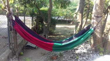 Hammocks