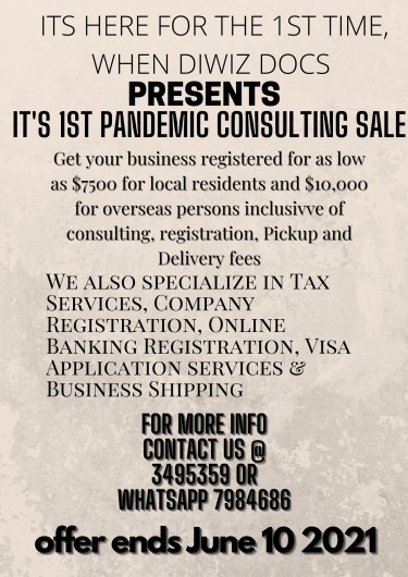 Pandemic Business Consulting Discount
