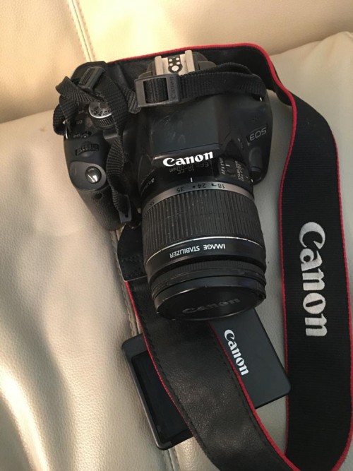 Professional Canon Rebel T1i Camera