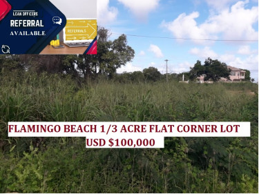 FLAMINGO BEACH....1/3 ACRE CORNER LOT USD $100,000