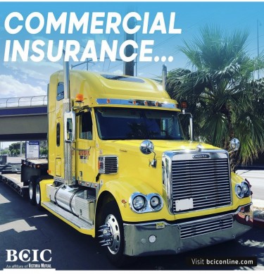 BCIC Motor Vehicle And Property Insurance 