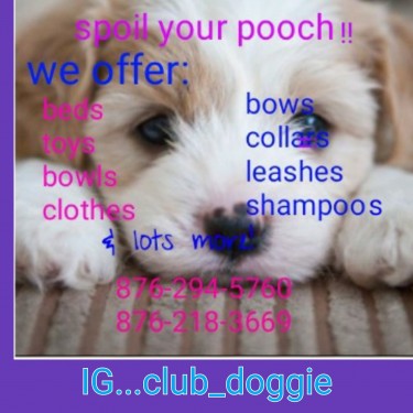 Doggie Items ,beds ,bowls,clothes .ect