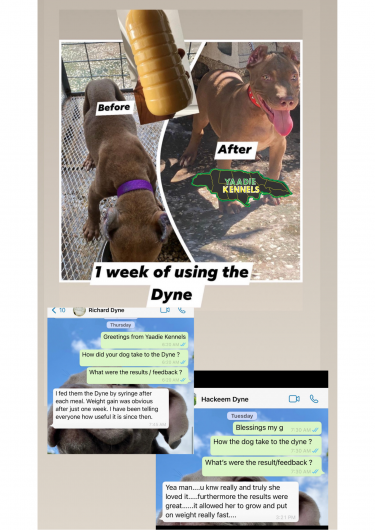 Dyne Weight Gainer For Dogs