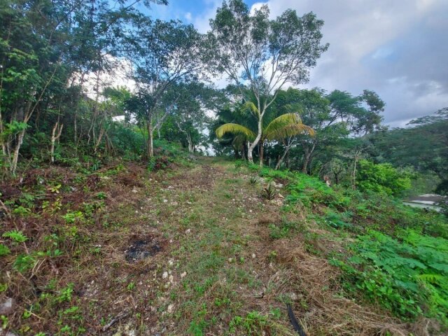 1/2 Acre Of Land With Building (3 Bedroom)