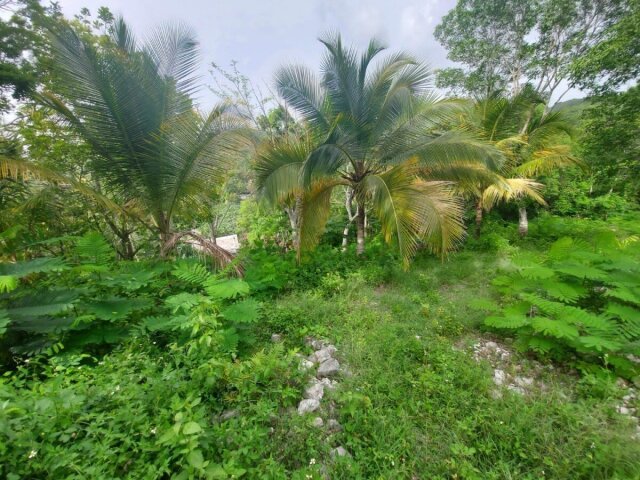 1/2 Acre Of Land With Building (3 Bedroom)