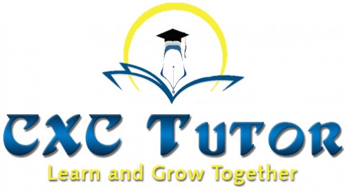 Tutoring And Past Paper Marathons