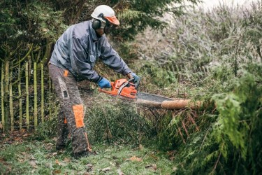 Two Man And A Saw