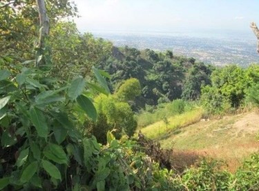 Land For Sale In Jack's Hill Kgn St Andrew Jamaica