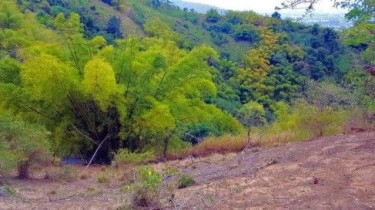 Land For Sale In Jack's Hill Kgn St Andrew Jamaica