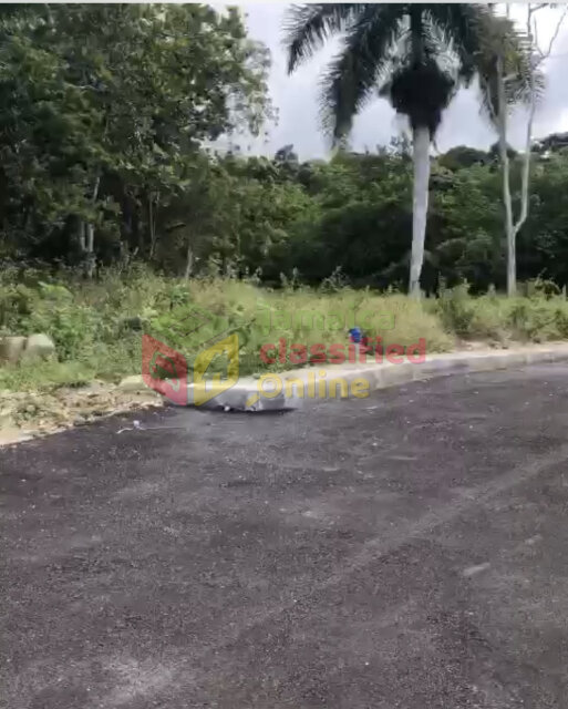 1/4 Acre