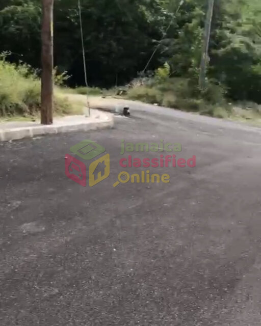 1/4 Acre Land Daniel Town