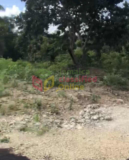 1/4 Acre