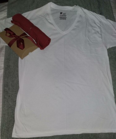 Hanes V-neck White T-shirt And Fruit Of The Loom T