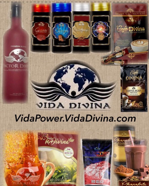Vida Divina Products