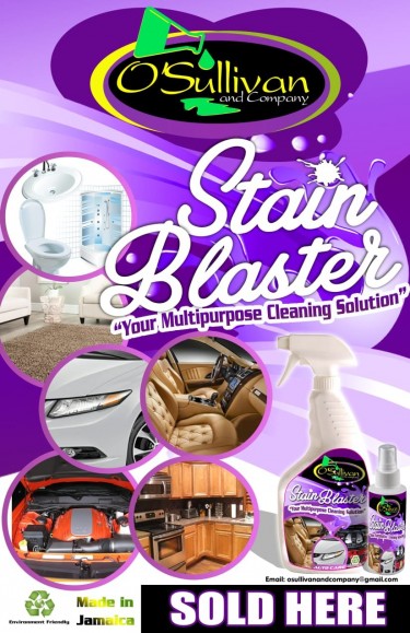 Stain Blaster- Multipurpose Cleaning Solution