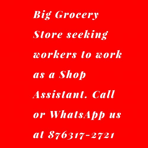 Grocery Shop Assistant Needed