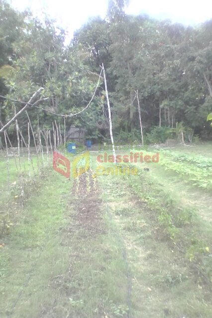 6.5 Acres Of Agricultural Land With House