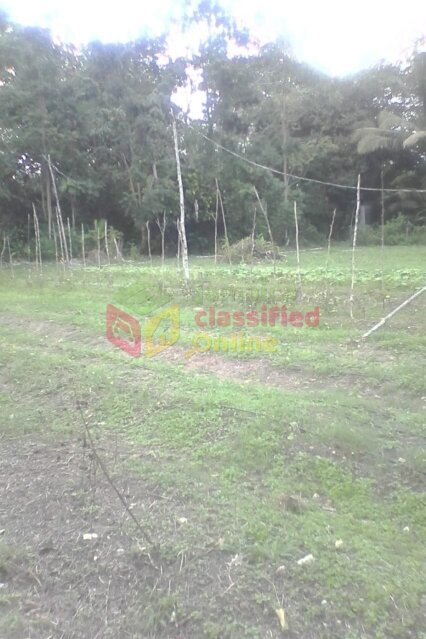 6.5 Acres Of Agricultural Land With House