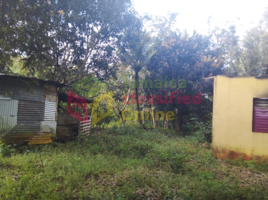 5  1/4  Acres Farm Land In Burnt Ground, Hanover