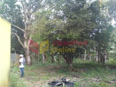 5  1/4  Acres Farm Land In Burnt Ground, Hanover