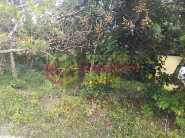 5  1/4  Acres Farm Land In Burnt Ground, Hanover