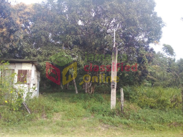 5  1/4  Acres Farm Land In Burnt Ground, Hanover