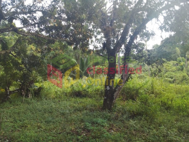 5  1/4  Acres Farm Land In Burnt Ground, Hanover