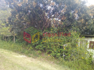 5  1/4  Acres Farm Land In Burnt Ground, Hanover