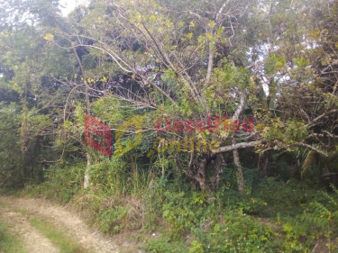 5  1/4  Acres Farm Land In Burnt Ground, Hanover