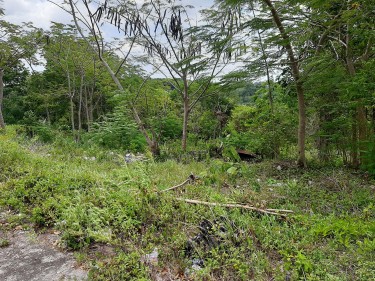 1/4 Acre Lot In Browns Town