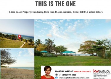 Beautiful 1 Acre Beach Property - Ocho Rios