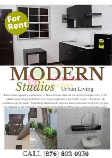 Modern Studios - Fully Furnished