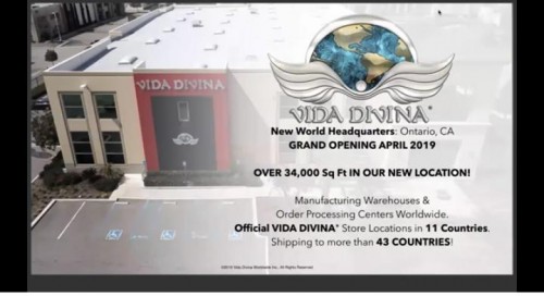 Vida Divina Company Work.from.home