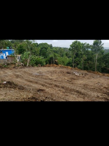 3 Acres Of Land