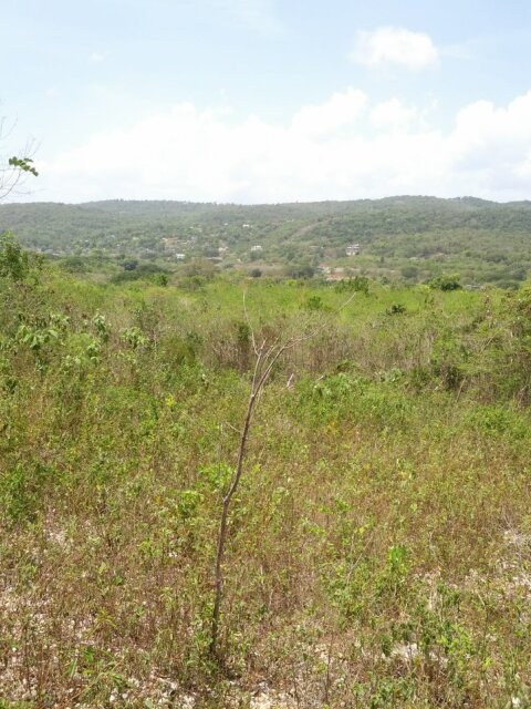9.83 Acres Of Prime Real Estate Land