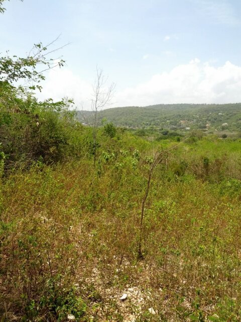 9.83 Acres Of Prime Real Estate Land