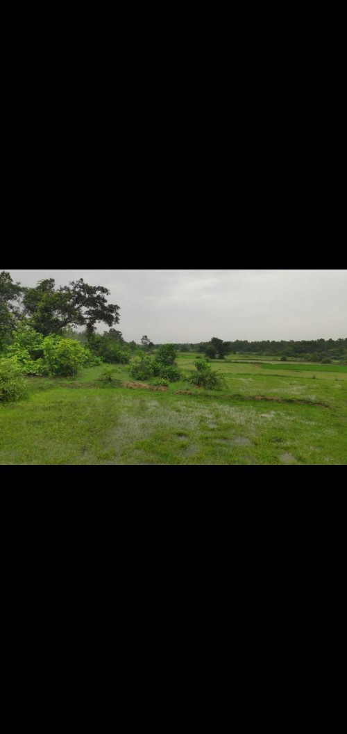 Property Land For Plot Available