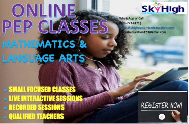 PEP CLASSES (SKYHIGH Customized Education)