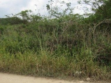 1/4 Acre Residential Lot For Sale On Selassie Rd