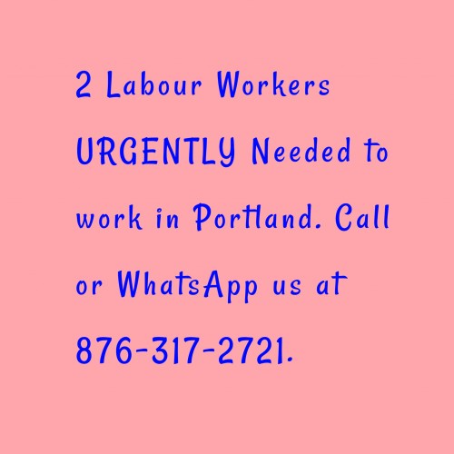 Labour Worker Needed In Portland.