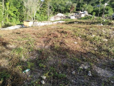 1/4 ACRE OF LAND +
