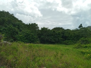 Over 1/2 Acre