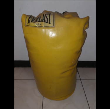 Punching Bag & Gloves