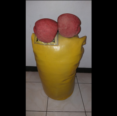 Punching Bag & Gloves