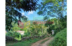 4 Bedroom House On 2 Acres.
