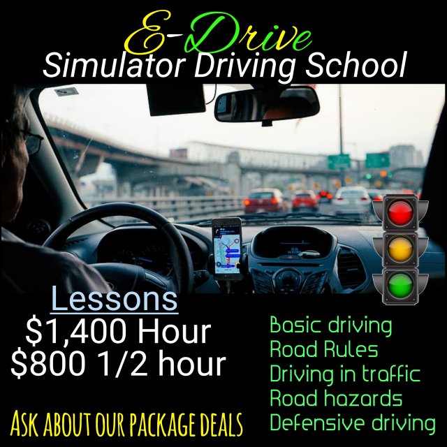Simulator Driving Lessons