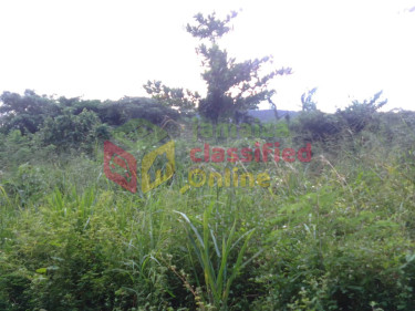 FAIRFIELD ESTATE  LOTS FOR SALE (LOTS ARE STEEP)