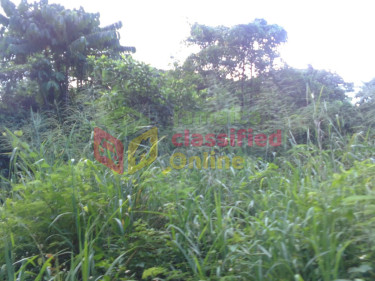 FAIRFIELD ESTATE  LOTS FOR SALE (LOTS ARE STEEP)