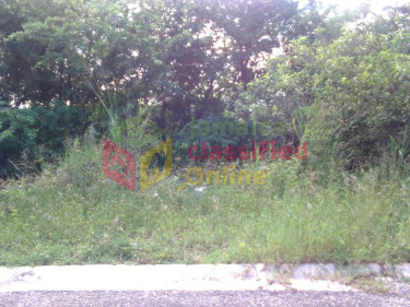 FAIRFIELD ESTATE  LOTS FOR SALE (LOTS ARE STEEP)